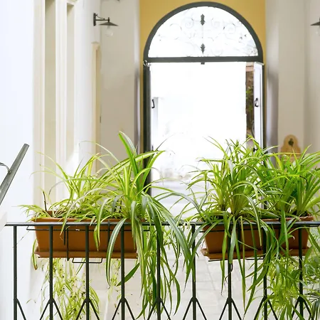 Bed & Breakfast Dimora San Vincenzo Gallipolli