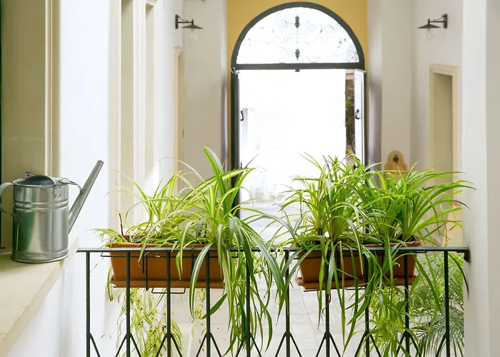 Dimora San Vincenzo Couette-café 3*